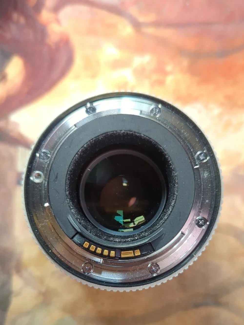 Canon extender ef
